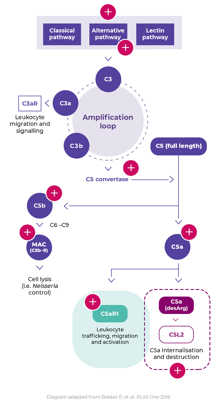 disease-mechanism