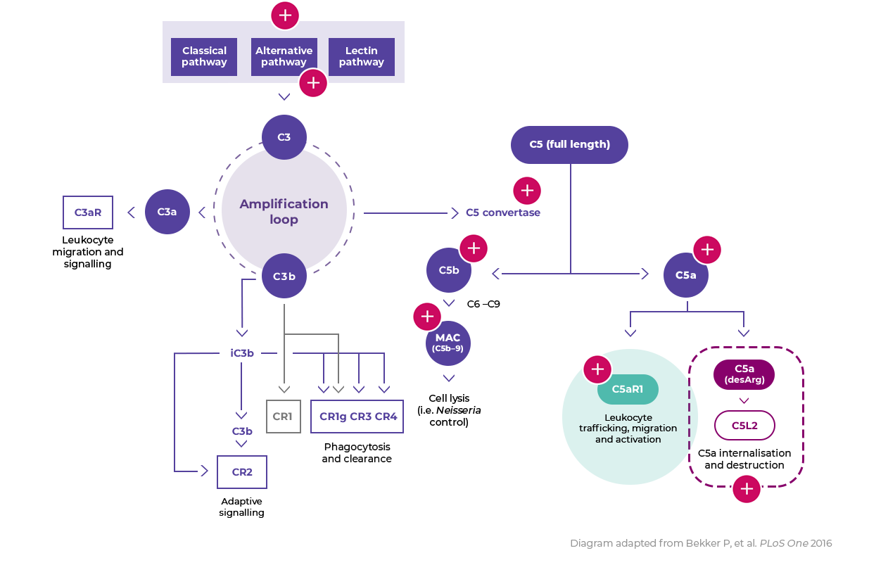disease-mechanism